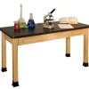 Acid Resistant Laminate Science Table (60'' W X 42'' D)