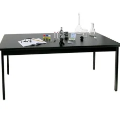 Acid Resistant Science Table (60'' W X 42'' D)