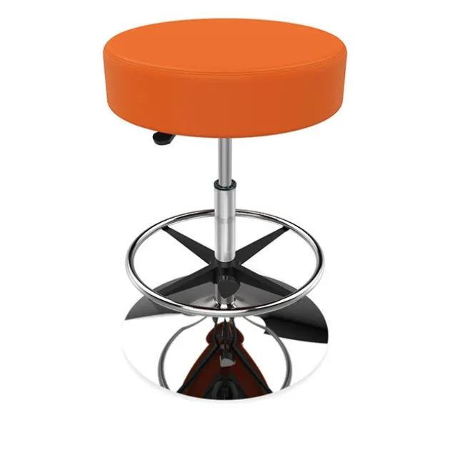 Adjustable Swivel Stool