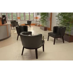 Ava Series CaressoftPlus Guest & Dining Chair