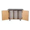 Bin Storage Mobile Science Cabinet with Chem-Res Top (48" x 28")