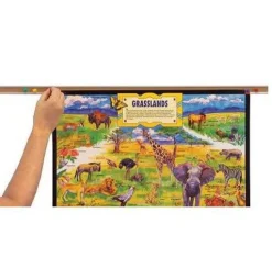 Bulletin Bars