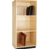 Canvas/Portfolio Cabinet