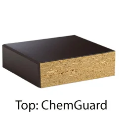 Caprock Economy Science Lab Table with ChemGuard Top - 24" x 72"