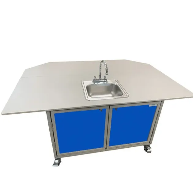 Children's Portable Activity Table with Single Basin Sink