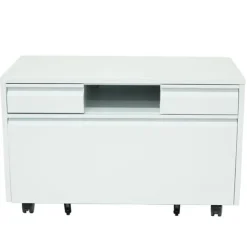 Closed Caddy Lateral File