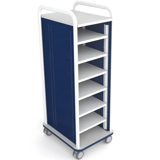 Crossfit Mobile Storage Carts