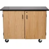 Demo Mobile Science Cabinet with Chem-Res Top (48" x 28")