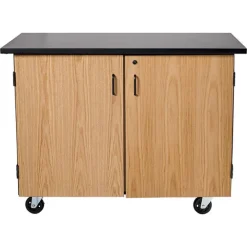 Demo Mobile Science Cabinet with Chem-Res Top (48" x 28")