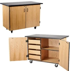 Demo Mobile Science Cabinet with Chem-Res Top (48" x 28")