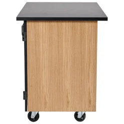 Demo Mobile Science Cabinet with Chem-Res Top (48