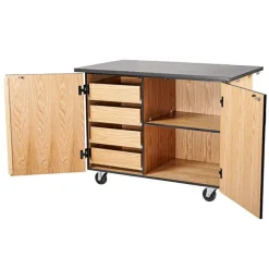 Demo Mobile Science Cabinet with Chem-Res Top (48