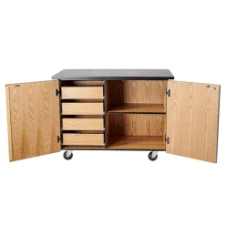 Demo Mobile Science Cabinet with Chem-Res Top (48