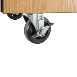 Demo Mobile Science Cabinet with Chem-Res Top (48