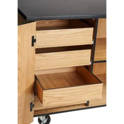Demo Mobile Science Cabinet with Chem-Res Top (48