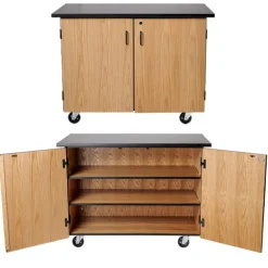 Economy Mobile Science Cabinet with Chem-Res Top (48
