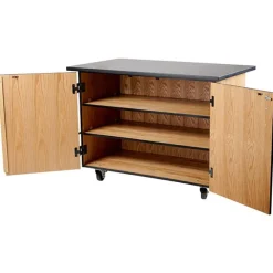 Economy Mobile Science Cabinet with Chem-Res Top (48