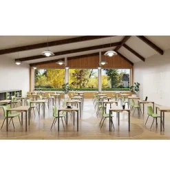 Elemental Petal Student Desks