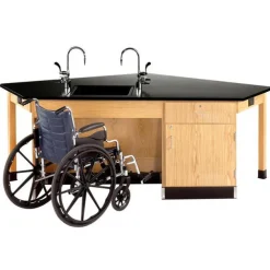 Forward Vision ADA School Science Workstations
