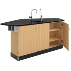 Forward Vision 2 School Science Workstations