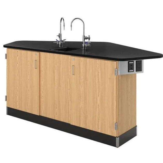 Forward Vision 2 School Science Workstations