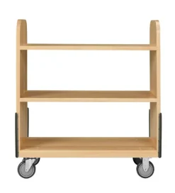 Heavy Duty Book Truck