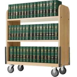 Heavy Duty Book Truck