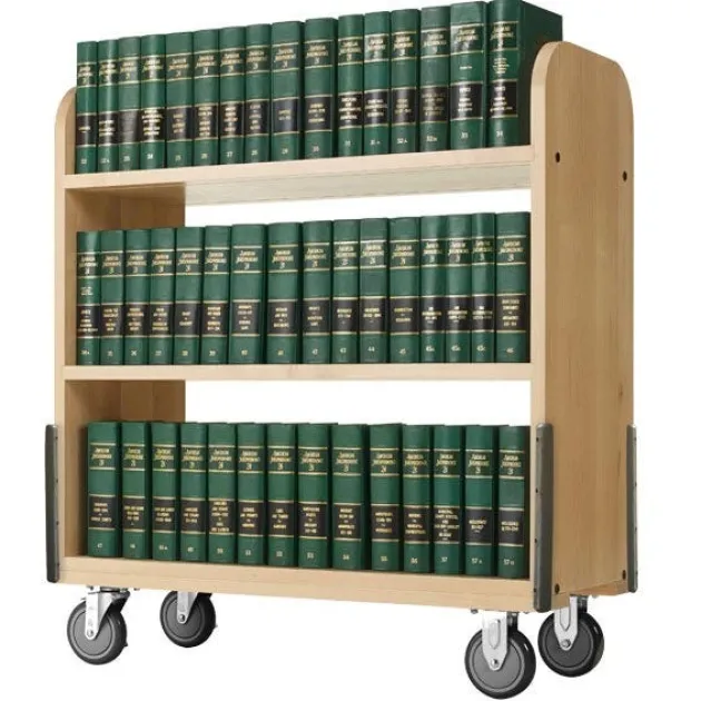 Heavy Duty Book Truck