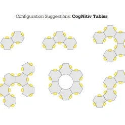 Hierarchy CogNitiv Dry Erase Activity Table
