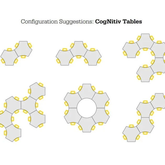 Hierarchy CogNitiv Dry Erase Activity Table