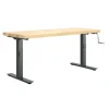 Hi-Lo Bench with Maple Butcher Block Top