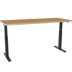 Hi-Lo Electric Adjustable Height Tables