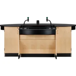 Interface Science Workstation