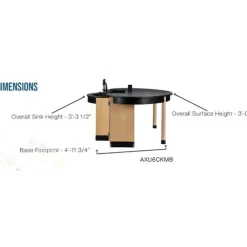 Interface Science Workstation