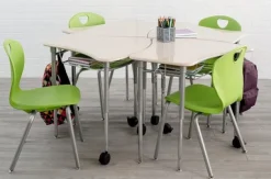 Kaleidoscope Vertebrae Student Desk