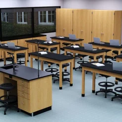 Laminate Top, Hardwood Science Table (30'' D X 48'' W)