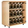 Large Microscope Storage Cabinet