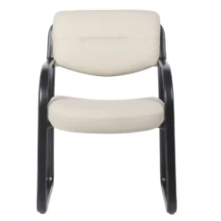 Leather Sled Base Guest Chair