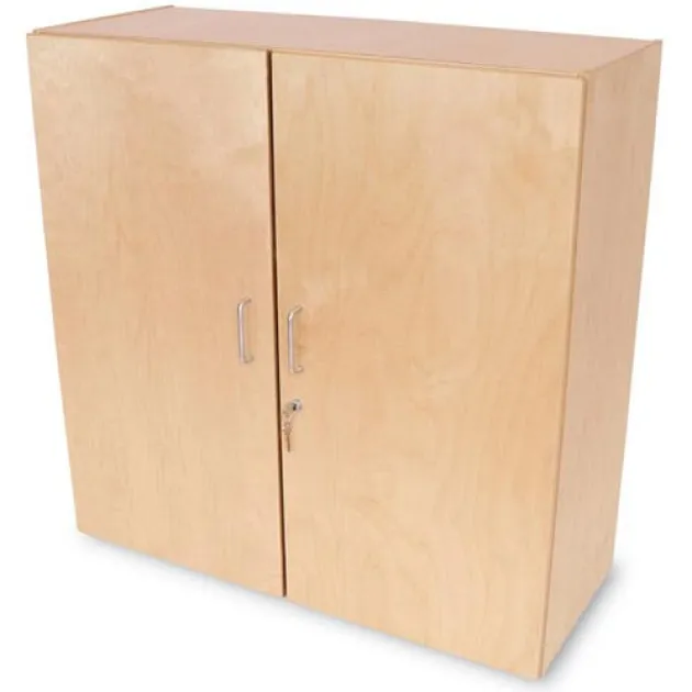 Lockable Wall Cabinet