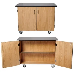 Microscope Storage Mobile Science Cabinet with Chem-Res Top (48" x 28")