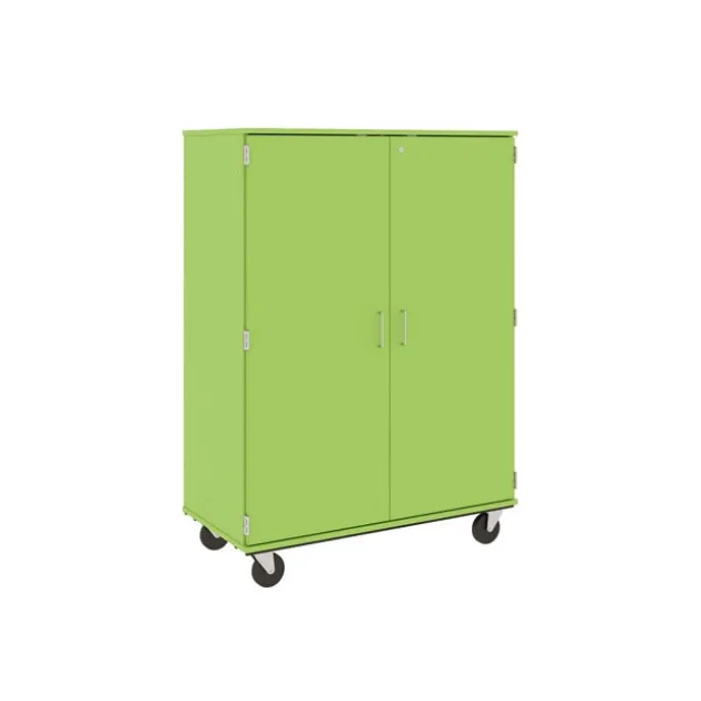Mobile Divided Storage Unit