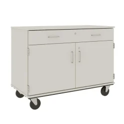 Mobile Door/Drawer Storage Unit