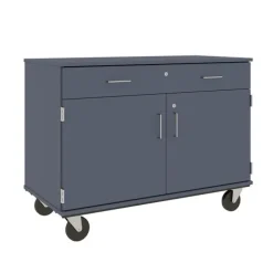 Mobile Door/Drawer Storage Unit