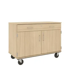 Mobile Door/Drawer Storage Unit
