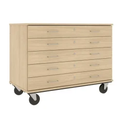 Mobile Five Drawer Storage Unit