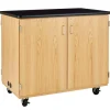 Mobile Microscope Charging Cabinet
