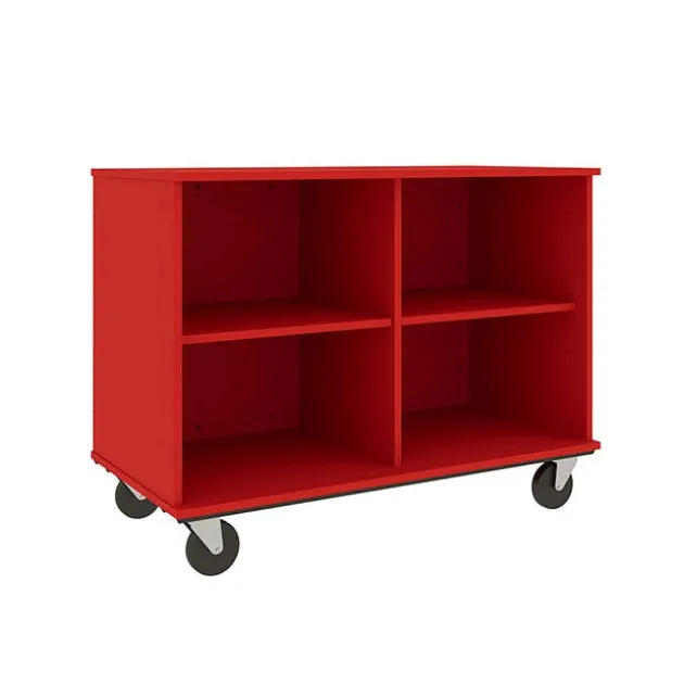 Mobile Open Divided Storage Cabinet