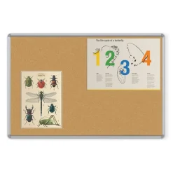 Natural Add-Cork Tackboard w/ Presidential Trim