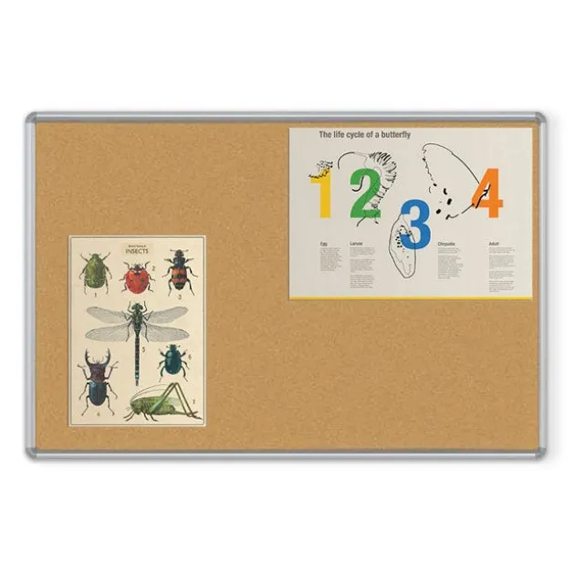 Natural Add-Cork Tackboard w/ Presidential Trim
