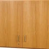 Oak Wall Science Cabinets